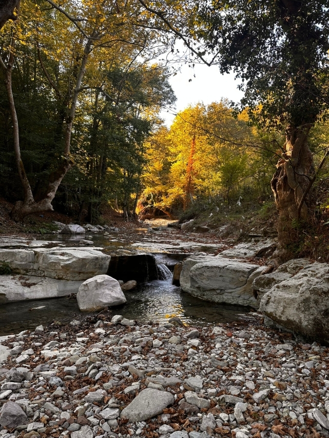 Devrek'te sonbahar görüntüsü izleyenleri hayran bıraktı 4