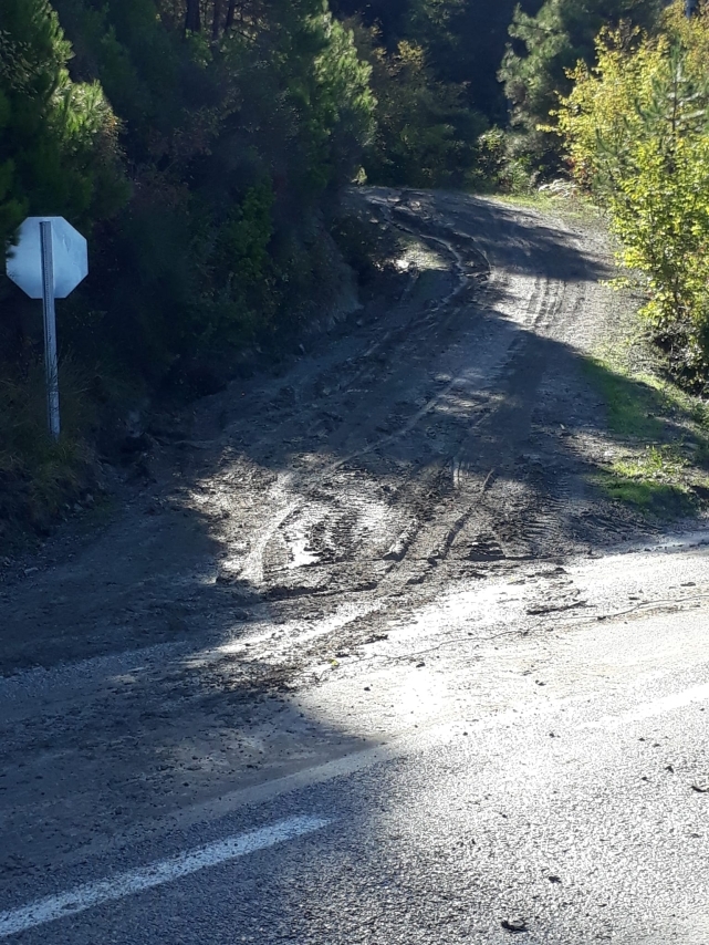 Bu kadarı pes dedirtti! Köy yolunda seyrederken aracıyla yuvarlandı! 1