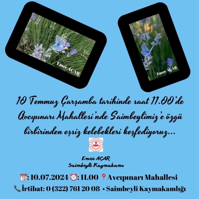 Saimbeyli’de "Geleneksel Saimbeyli Kelebeği Gözlem ve Fotoğrafçılık" etkinliği düzenlenecek 1