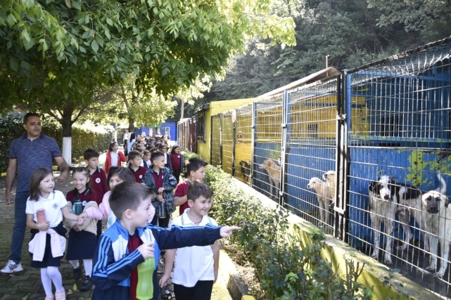 Miniklerden Sevimli Dostlara Ziyaret 2