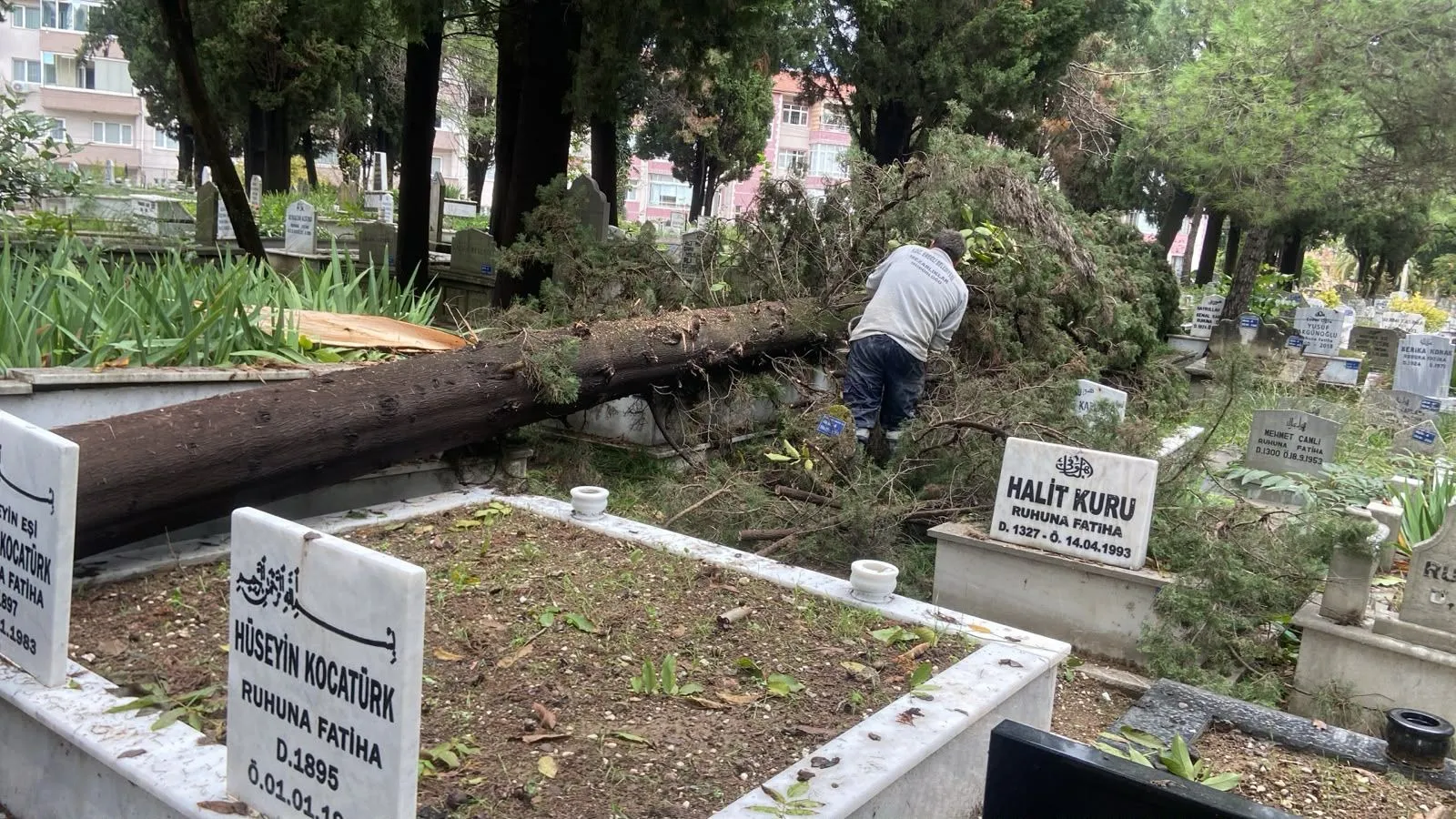 Kdz. Ereğli Belediyesi ekipleri, şehir mezarlığında şiddetli fırtınada devrilen 5 ağacı kaldırdı, zarar gören 18 mezarı onararak mezarlıkta oluşan hasarı giderdi.